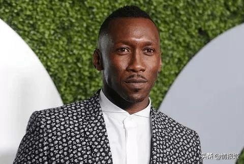 峰哥评价吃瓜,吃瓜群众的智慧与趣味  第2张