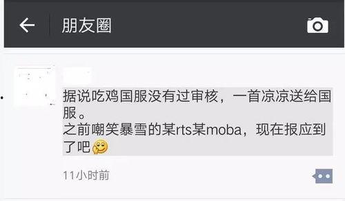 吃瓜小助手9527,网络红人的崛起之路  第2张