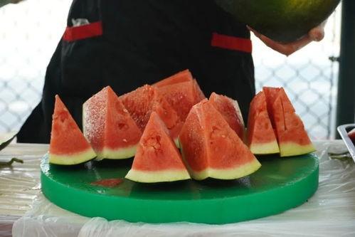 职业学校吃瓜,揭秘校园生活趣事