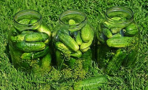 瓜姐天天吃瓜,揭秘娱乐圈那些不为人知的幕后故事  第3张